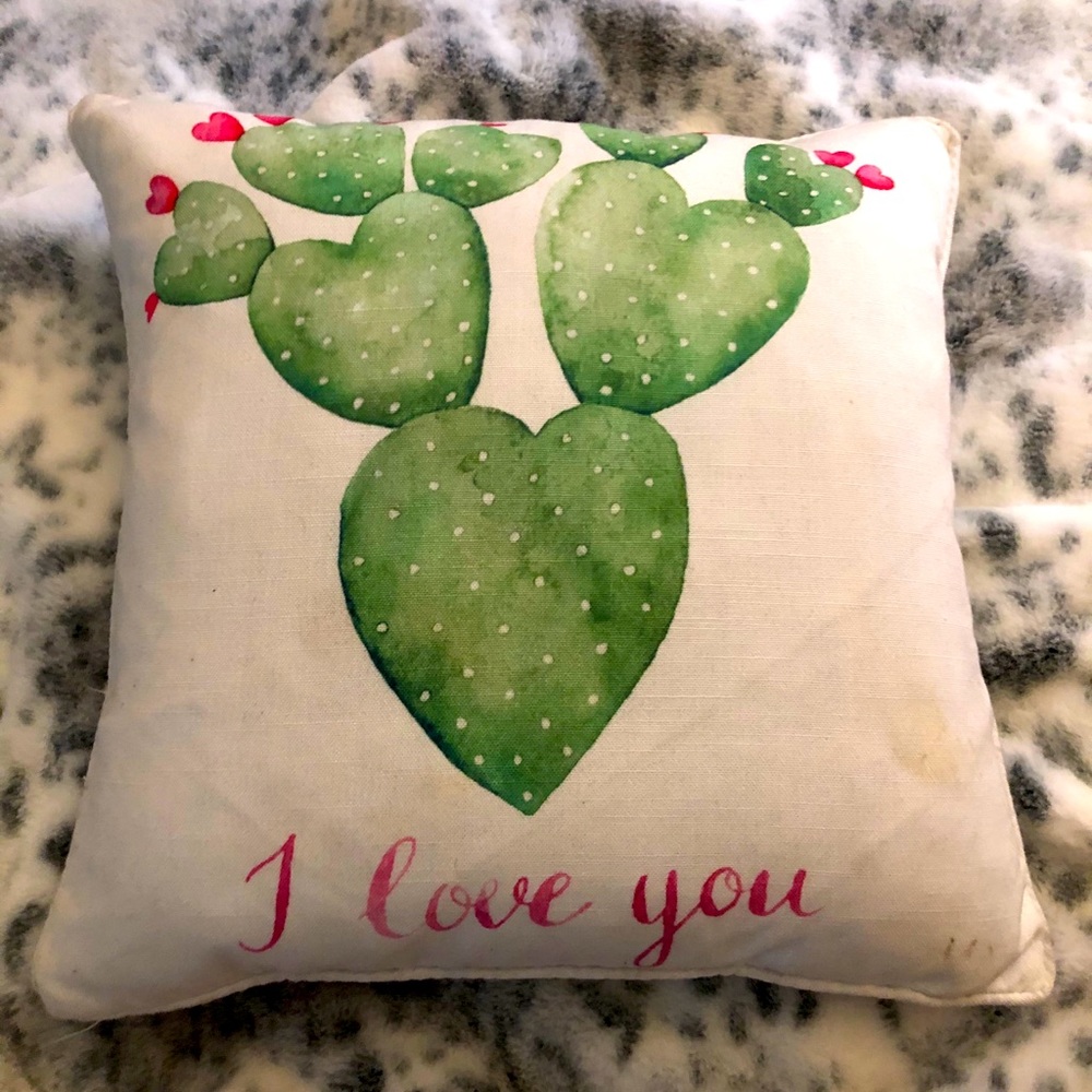Cactus pillow